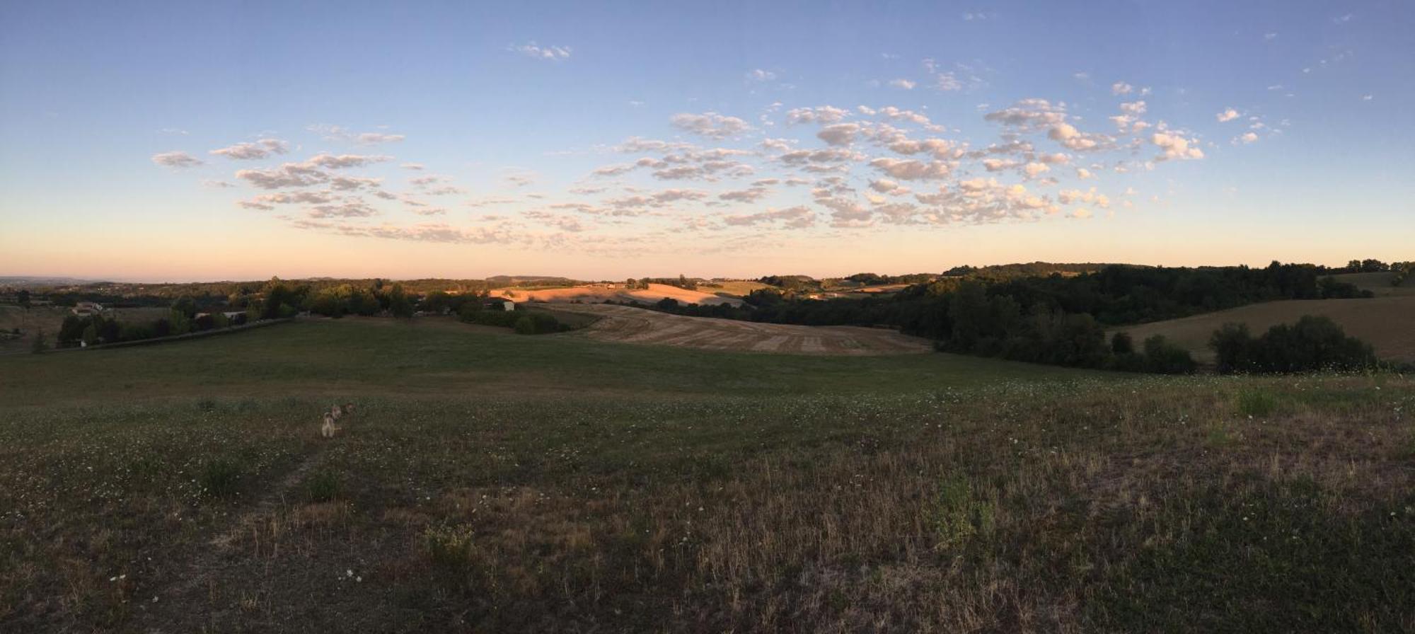 Castelnaud-de-GratecambeLa Ferme Couderc别墅 外观 照片