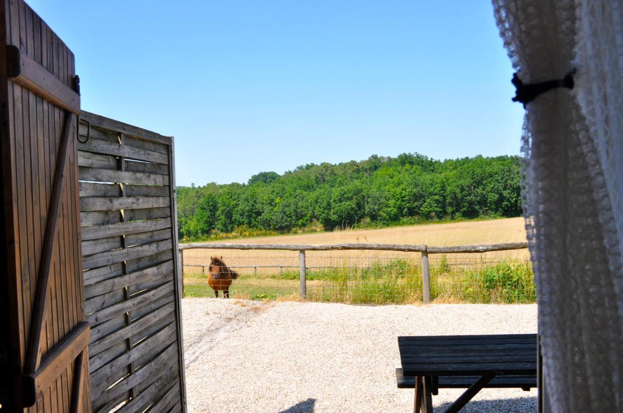 Castelnaud-de-GratecambeLa Ferme Couderc别墅 外观 照片